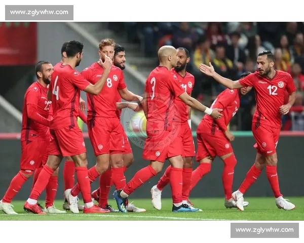 突尼斯对阵瑞典欧洲力量碰撞引发国际足坛关注焦点之战前瞻解析